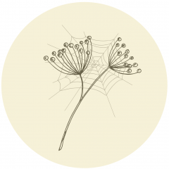 The Gossamer Threads Project