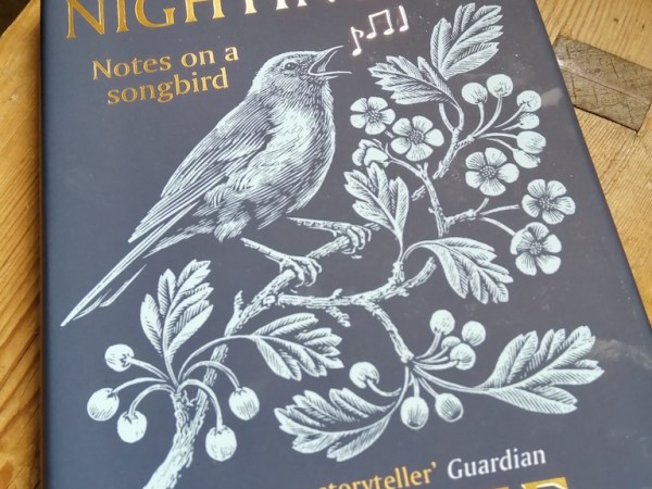 A Call for Action Through&nbsp;Song