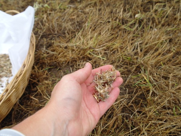 Roll up, roll&nbsp;up!